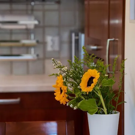 Apartment Memoria Lefkada City